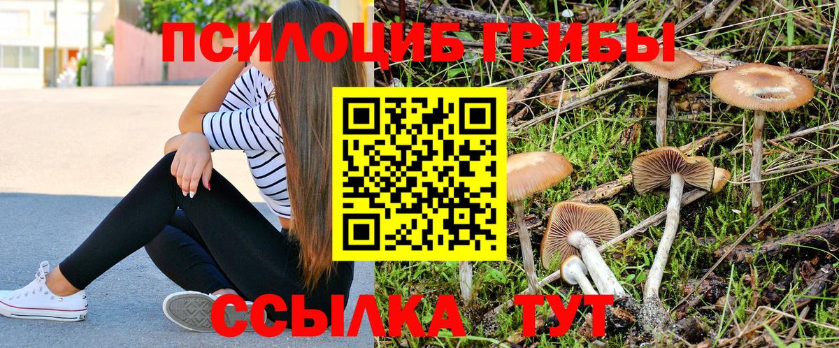 Липецк  Галлюциногенные грибы GOLDEN TEACHER  Псилоцибиновые грибы GOLDEN TEACHER  наркотики  Вход с VPN 
